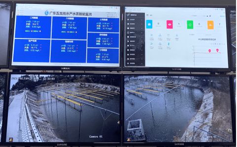 花都區 科技興漁啟新程，人工智能與“芯片魚”引領智慧漁業探索